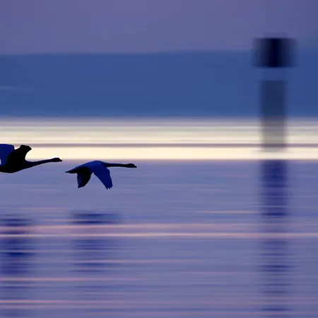 דירה Am Mantelhafen - Typ 2