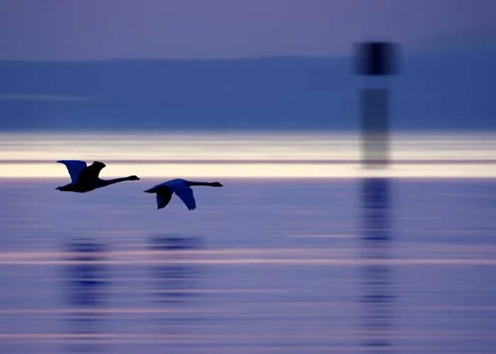 Apartman Am Mantelhafen - Typ 2